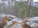 forêt de Rambouillet, zone rocheuse